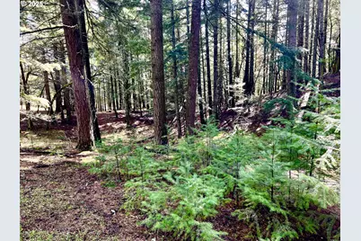 Rainbows End, Bingen, WA 98605 - Photo 1