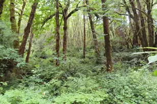 Sylvan Way, Longview, WA 98632 - Photo 1