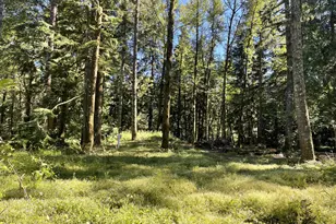 23282 E Sandy Ave, Rhododendron, OR 97049 - Photo 1
