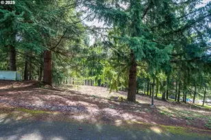 324 Champion Rd, Kalama, WA 98625 - Photo 1