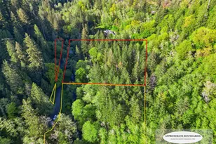 Upper North Fork Rd, Florence, OR 97439 - Photo 1