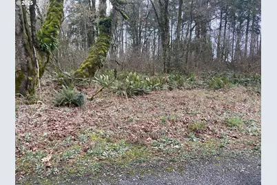 0 Forest Park Rd #19326, Rainier, OR 97048 - Photo 1