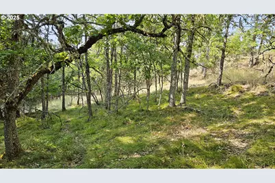 Richard Rd #P1-L5, Mosier, OR 97040 - Photo 1