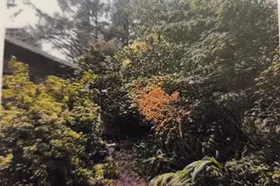 32304 Hwy 101, Gold Beach, OR 97444 - Photo 1