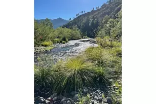 Cow Creek Rd, Dillard, OR 97432 - Photo 1