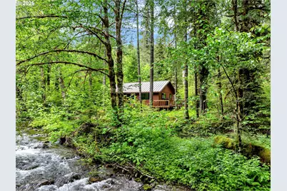 47 Govt Mineral Springs, Carson, WA 98610 - Photo 1