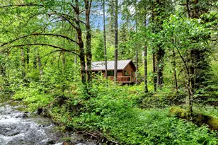 47 Govt Mineral Springs, Carson, WA 98610 - Photo 1