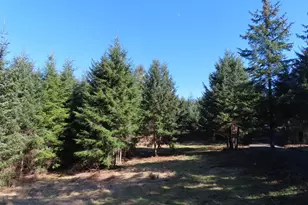 80 Wilson Ln, South Bend, WA 98586 - Photo 1