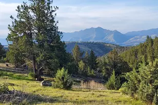 Wiley Creek Rd, Dayville, OR 97825 - Photo 1