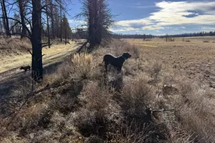 Yellow Pine Rd, Bly, OR 97622 - Photo 1