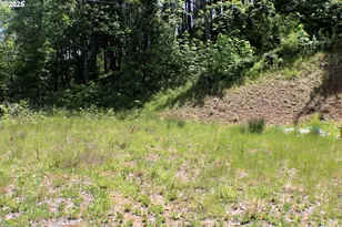 1482 Canyonville-Riddle Rd, Riddle, OR 97469 - Photo 1