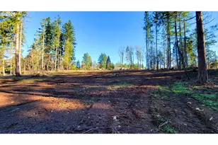 Rogers Ln, Dexter, OR 97431 - Photo 1