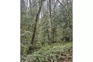 201 Pin Creek Ln, Kelso, WA 98626 - Photo 1