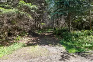 Orion, Longview, WA 98632 - Photo 1