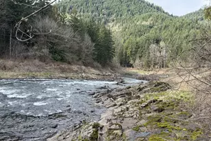 Big Fall Creek Rd, Fall Creek, OR 97438 - Photo 1