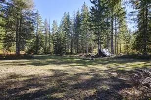 2 Lahar Ln, Cougar, WA 98616 - Photo 1