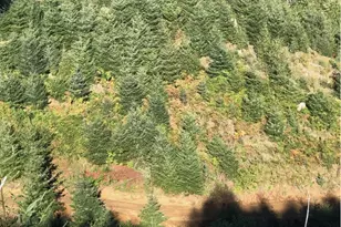 80788 Hamlet Rd, Seaside, OR 97138 - Photo 1