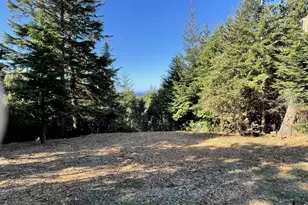 Chris La Ln, Port Orford, OR 97465 - Photo 1