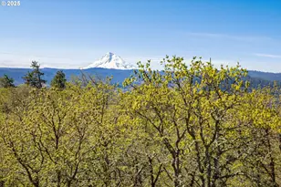 1075 Morgensen Rd, Mosier, OR 97040 - Photo 1