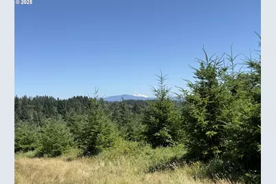 0 NE 277th Ave, Washougal, WA 98671 - Photo 1