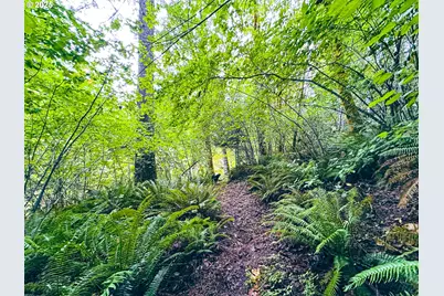 Vaughn Rd #TL2000, Veneta, OR 97487 - Photo 1