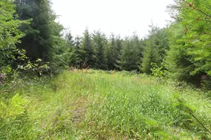 Mill Creek Ln, Longview, WA 98632 - Photo 1