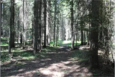Upper Basket Mnt. Rd, Weston, OR 97886 - Photo 1