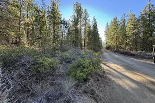 Golden Eagle Dr, Bonanza, OR 97623 - Photo 1