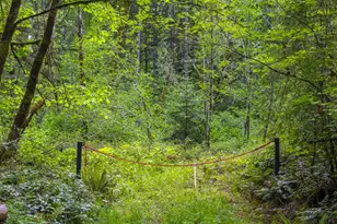 Upper Calapooia Dr, Sweet Home, OR 97386 - Photo 1