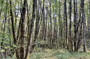 25560 SW Valley View Ln, Sheridan, OR 97378 - Photo 1