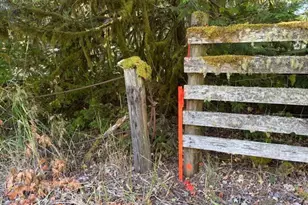 Hill Creek Rd, Castle Rock, WA 98611 - Photo 1