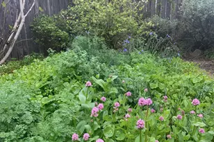 1928 NE 63rd Ave, Portland, OR 97213 - Photo 29