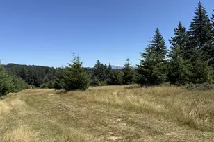 0 NE 277th Ave, Camas, WA 98607 - Photo 1