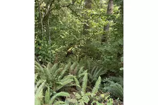 339th St, La Center, WA 98629 - Photo 1