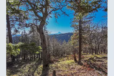Oak Knoll Ridge Rd #11, Lyle, WA 98635 - Photo 1