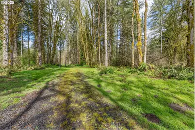 171 Deer Park Ln, Toledo, WA 98591 - Photo 1