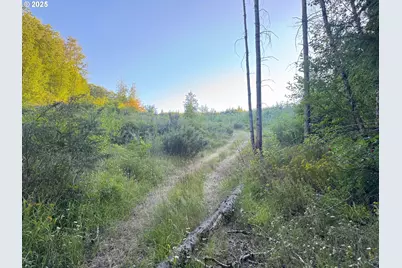 Pittsburg, Saint Helens, OR 97051 - Photo 1