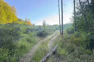 Pittsburg, Saint Helens, OR 97051 - Photo 1