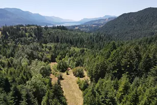0 Dillon Rd, Stevenson, WA 98648 - Photo 1