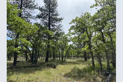 D Pine, Goldendale, WA 98620 - Photo 1