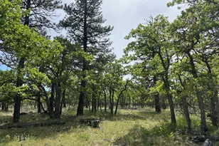 D Pine, Goldendale, WA 98620 - Photo 1