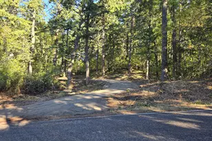 Montell Terrace, Stevenson, WA 98648 - Photo 1