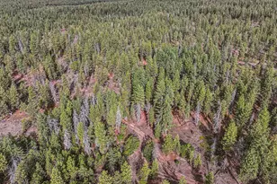 68 Matola Rd, Goldendale, WA 98620 - Photo 1