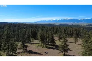 Whiskey Creek, Wallowa, OR 97885 - Photo 1