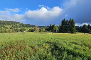 2370 Azalea Dr, Elkton, OR 97436 - Photo 1