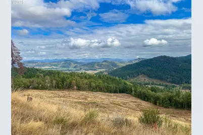 584 Buzz Mountain Ln, Roseburg, OR 97471 - Photo 1