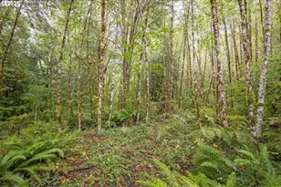 Sec 34 Twn 4N Rng 2W, Scappoose, OR 97056 - Photo 1