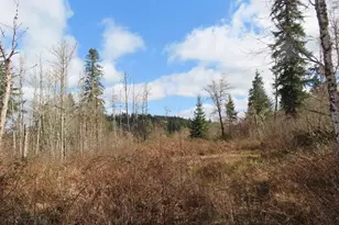 125 Oppelt Rd, Chehalis, WA 98532 - Photo 1