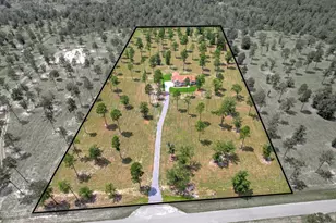 252 Paddock Clb Pkwy, Aiken, SC 29803 - Photo 3