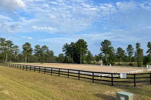 252 Paddock Clb Pkwy, Aiken, SC 29803 - Photo 49